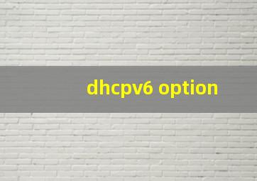 dhcpv6 option